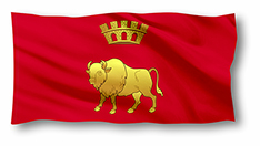 картинка Флаг Гродненской области
